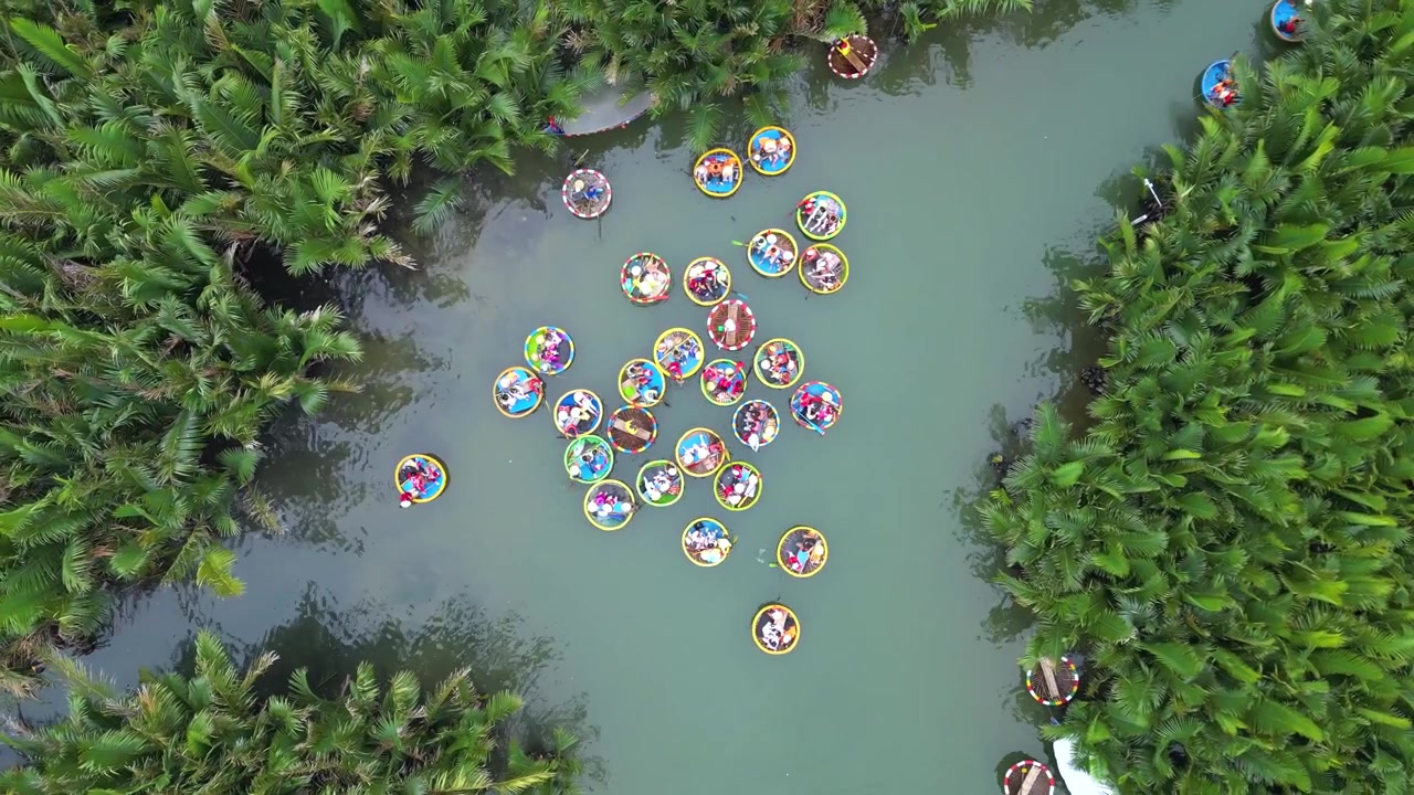Esperienza tradizionale in barca di cocco a Hoi An, Vietnam, con turisti che remano in un paesaggio verde lussureggiante. Orbita dall'alto con drone sopra l'acqua circondata da palme.