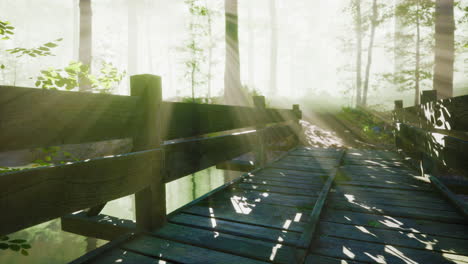 Holzbrücke-Im-Wald-Im-Nebel