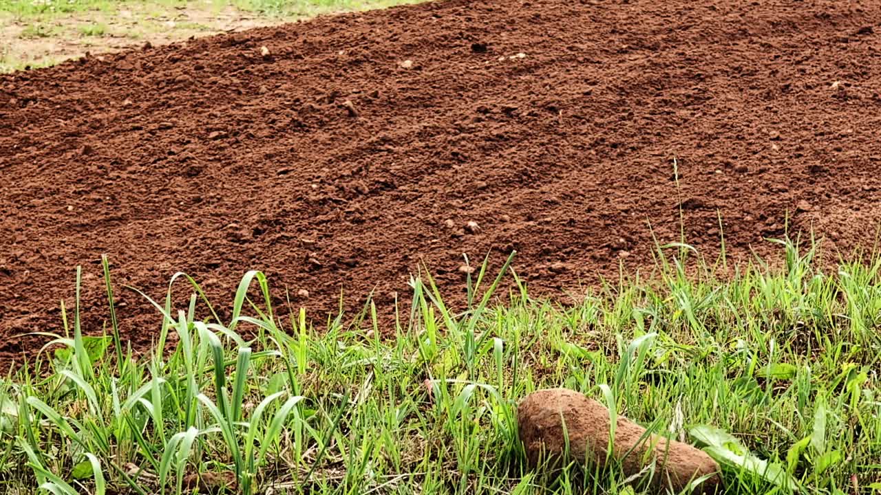 Scatto orizzontale dal basso verso l’alto di una gara di motocross con terra che vola su una pista estiva