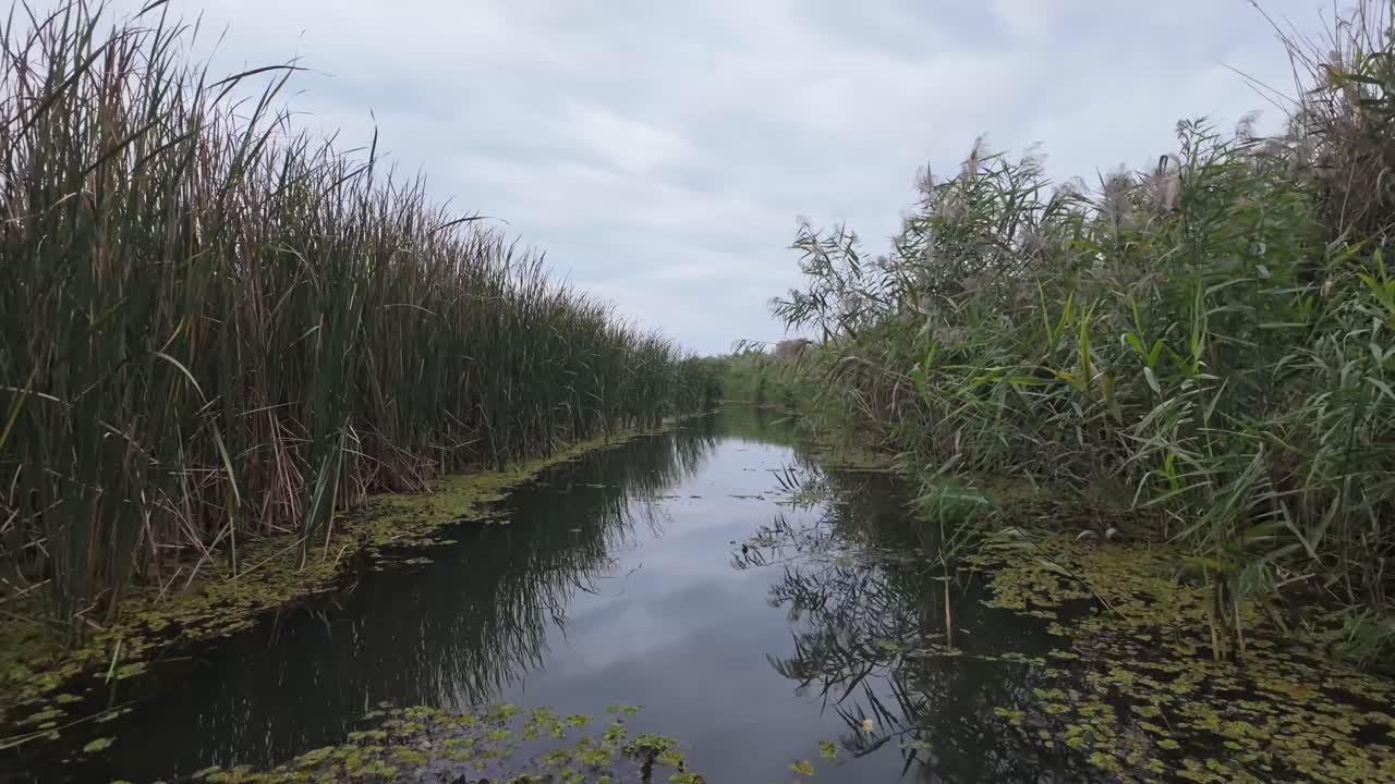 Navigating through the narrow reed-covered canals of Lake Tisza by boat on a cloudy autumn day in Hungary