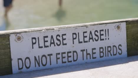 sign saying to not feed the birds