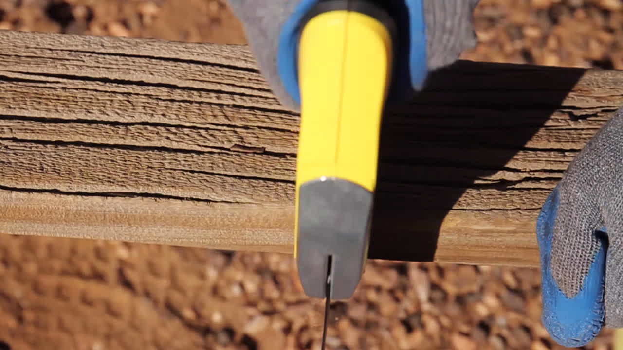 Wood Board being Sawed in Desert Joshua Tree