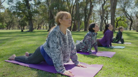 mujeres practicando yoga en un parque
