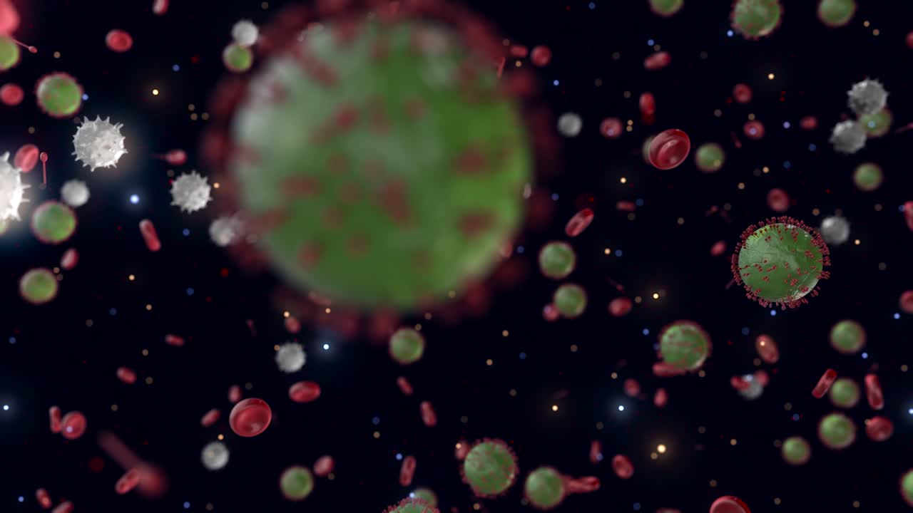 Virus and Blood Cells Interaction