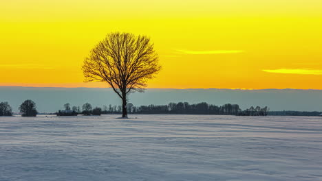 Tiro-De-Tierras-De-Cultivo-Cubiertas-De-Nieve-Con-Puesta-De-Sol-En-El-Fondo-Sobre-Cielo-Amarillo-Con-Nubes-Blancas-Pasando-En-Timelapse