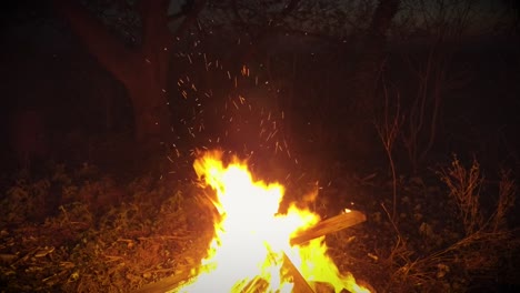 Bon-fire-in-the-night-burning-garbage-and-wood