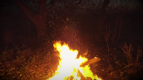 hoguera en la noche quemando basura y madera