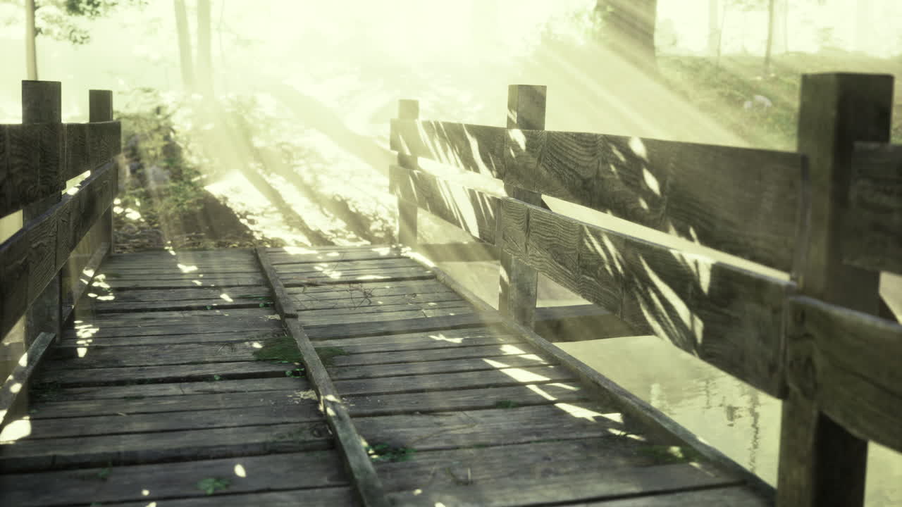 Beautiful wooden bridge surrounded by soft sunlight in a serene forest
