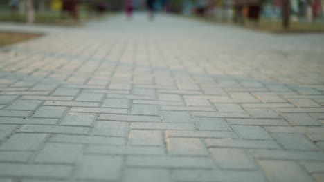 a serene shot of a paved park path with a focus on the ground, showcasing the intricate pattern of the stone bricks. the background is artistically blurred, creating a soft, out-of-focus effect