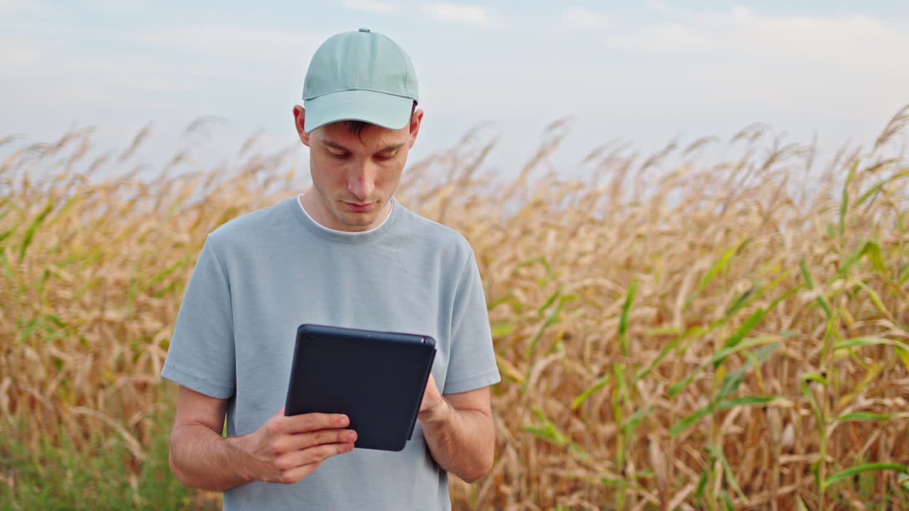 agricultor que utiliza tabletas en el campo de maíz