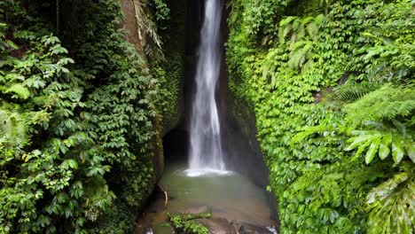 la cascada de leke leke en bali, indonesia, aislada en un paisaje de selva tropical y una exuberante vegetación forestal verde