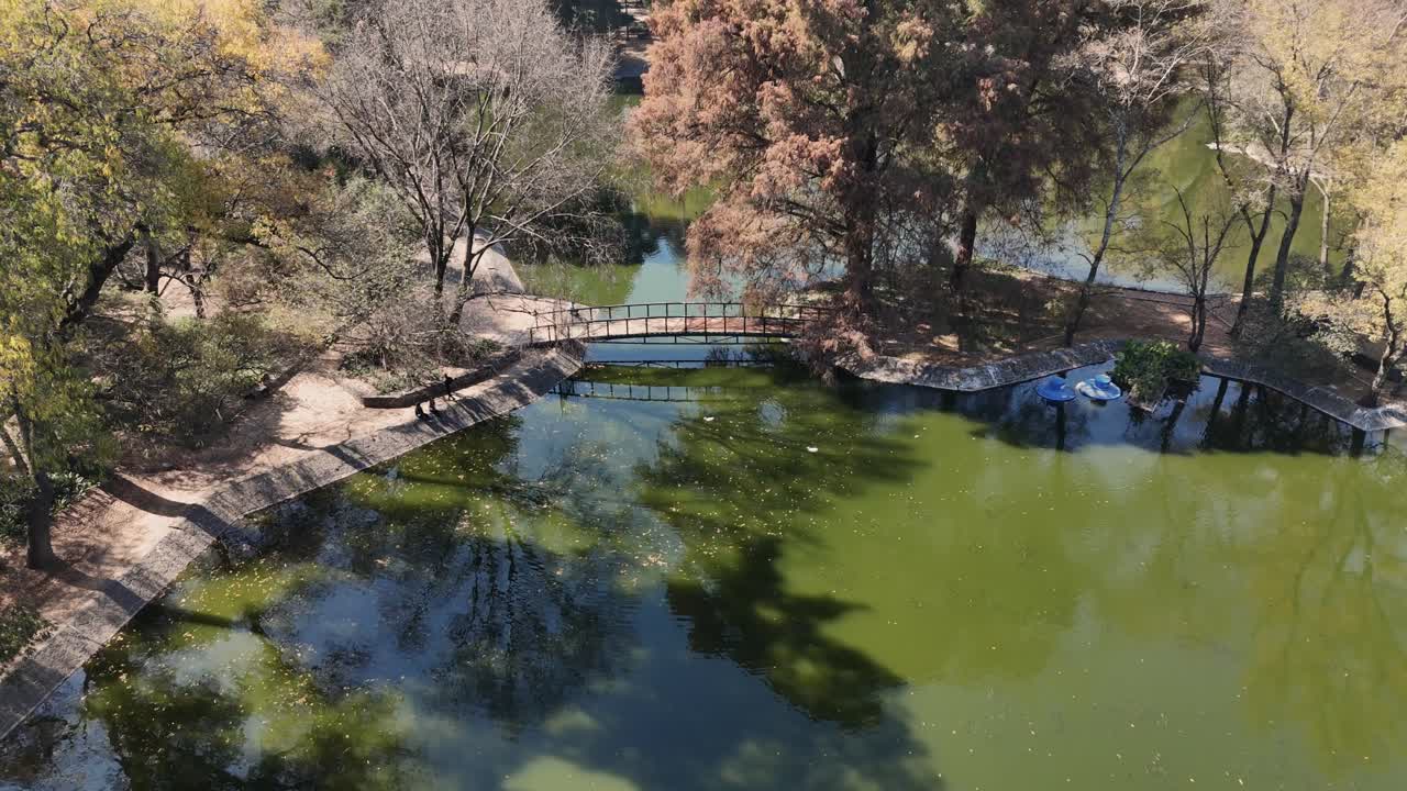 el paisaje de otoño en el lago chapultepec, cdmx