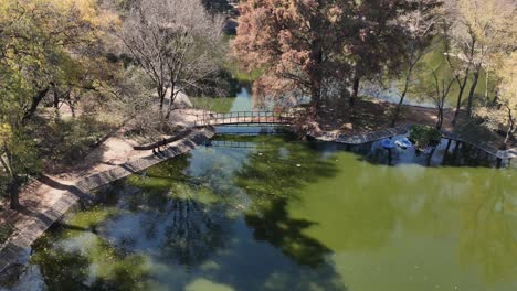 chapultepec 호수 (cdmx) 의 가을 풍경