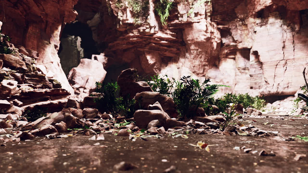 large fairy rocky cave with green plants