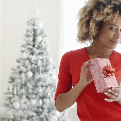 Lächelnde-Frau-Mit-Einem-Weihnachtsgeschenk