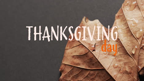 animation of thanksgiving day text over autumn leaf on grey background