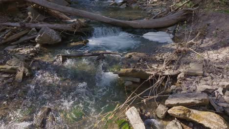 A-small-forest-stream-flows-over-rocks-and-fallen-logs,-creating-a-serene-natural-scene