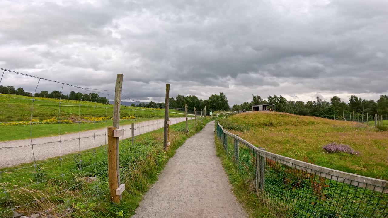 Point-of-view walk down rural gravel path, fenced fields, overcast sky, lush greenery, steady movement
