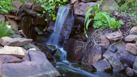 time lapse and time-exposure of a freshwater pond