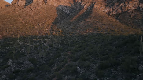 Este-Video-4k-Comienza-Con-Una-Toma-Amplia-Del-Desierto,-Mostrando-Su-Vasta-Extensión-De-Cactus