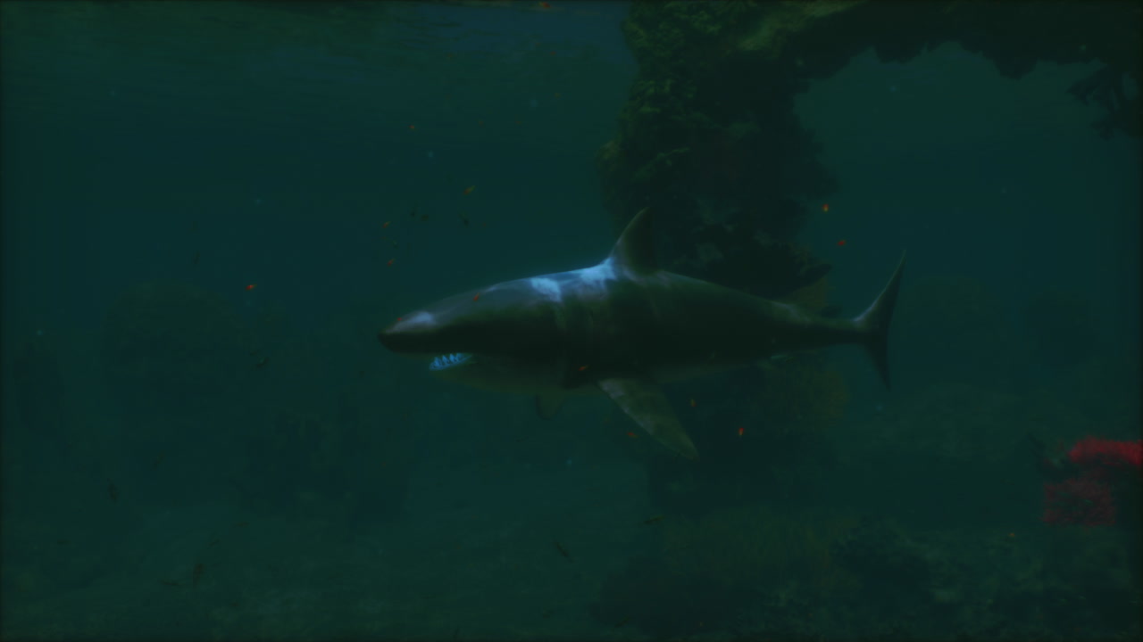 gran tiburón blanco nadando con gracia cerca de formaciones rocosas oceánicas