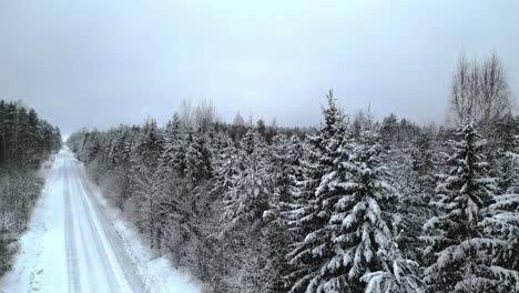 Frosty-forest-in-winter-along-a-countryside-snowy-road---aerial