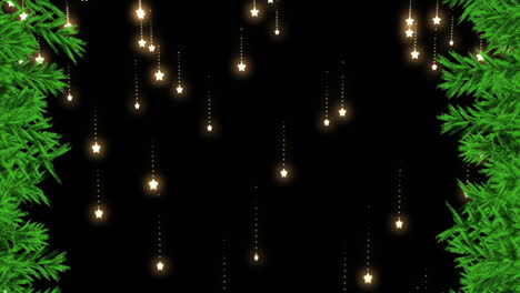 animación digital de ramas verdes contra múltiples rastros de luz de estrellas que caen