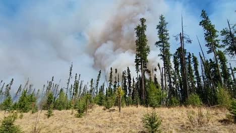 Humo-Espeso-Y-Ondulante-En-Los-Incendios-Forestales-De-Alberta,-Canadá