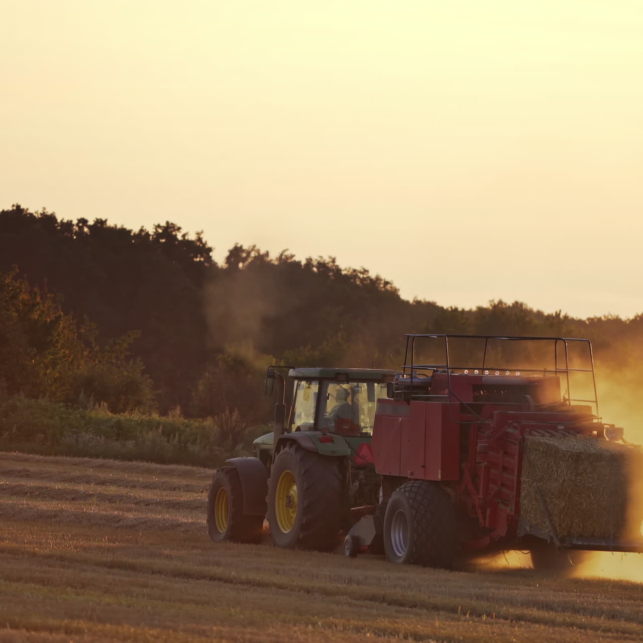 Tractor on the field during seasonal works at sunset. Agricultural machine pressing dry hay into square bale in the grassland on the trees background in the evening.