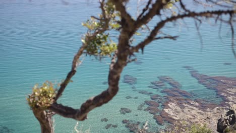 Turquoise-water-in-the-beautiful-island-of-Cyprus,-high-angle