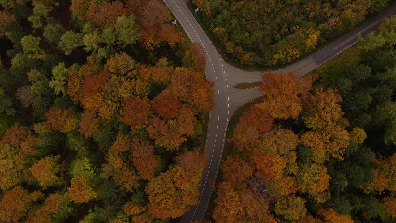 가을 색깔의 나무 틀 위로 드론을 타고 카메라를 배경으로 알프스가 있는 인기 있는 바이에른 수도원으로 이동