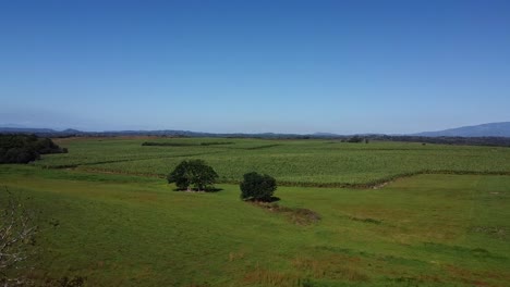 Berge-In-Costa-Rica,-Grün,-Luftbildvideo-Von-Costa-Rica