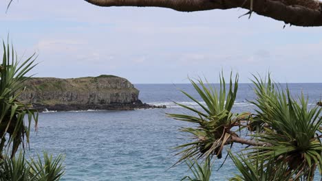 coastal view with island and plants