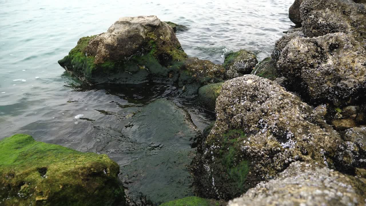 corniche doha bay, doha, qatar, 중동 근처의 물과 바다 파도를 따라 이끼로 덮인 돌과 바위