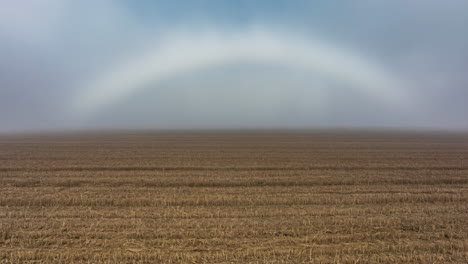 Foggy Field with White Rainbow