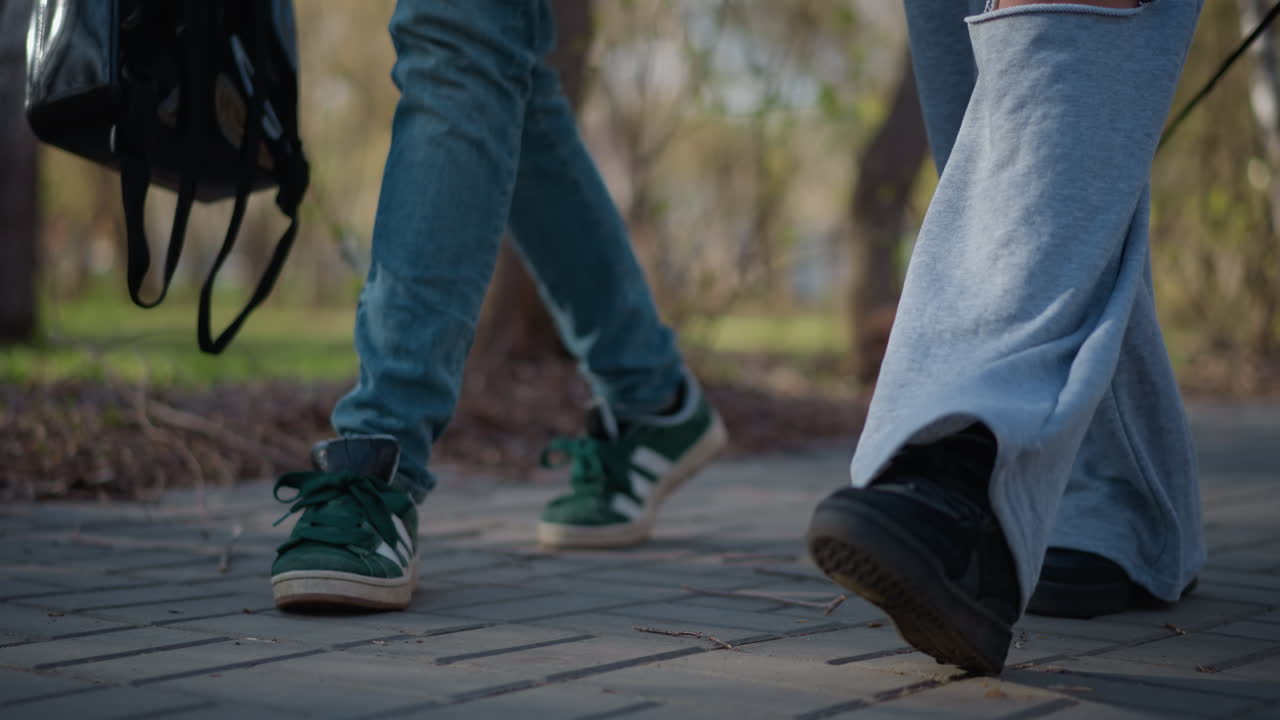 작은 강아지를 데리고 나무 아래를 걷는 사람들, 개인과 아주 작은 강아지들이 잎이 무성한 공원 산책로를 거닐고, 강아지 주인들은 평화로운 야외 산책로의 키 큰 나무 아래에서 즐겁게 산책을 즐겨요.