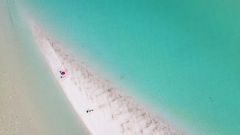 Tiro-De-Drones-En-Aumento-De-Personas-En-La-Hermosa-Playa-De-Arena-En-La-Playa-De-Whitehaven-Whitsunday-Island-Australia