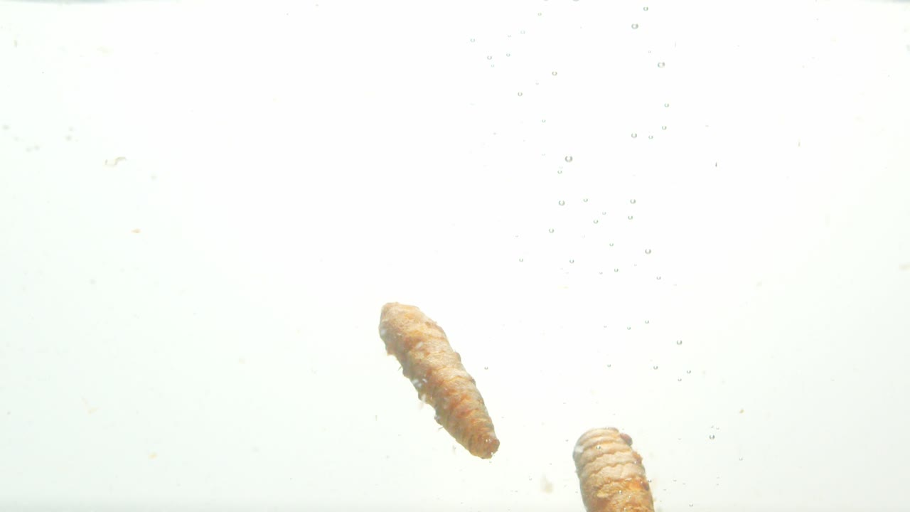 Curcuma versata in acqua con bolle d'aria in risalita, vista ravvicinata.