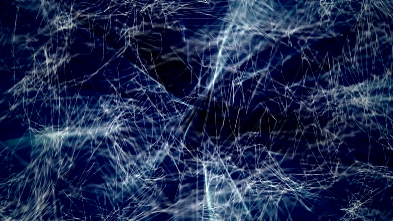 A network data stream.