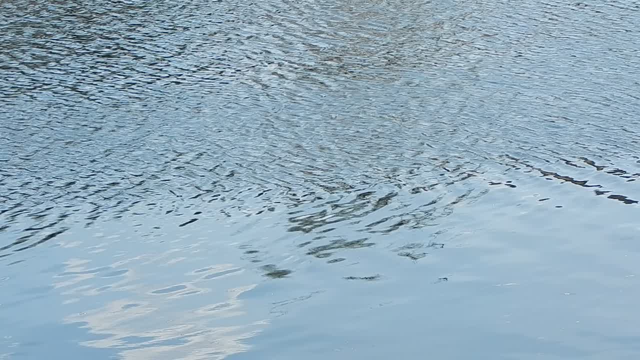 Graphic resources design composition and texture