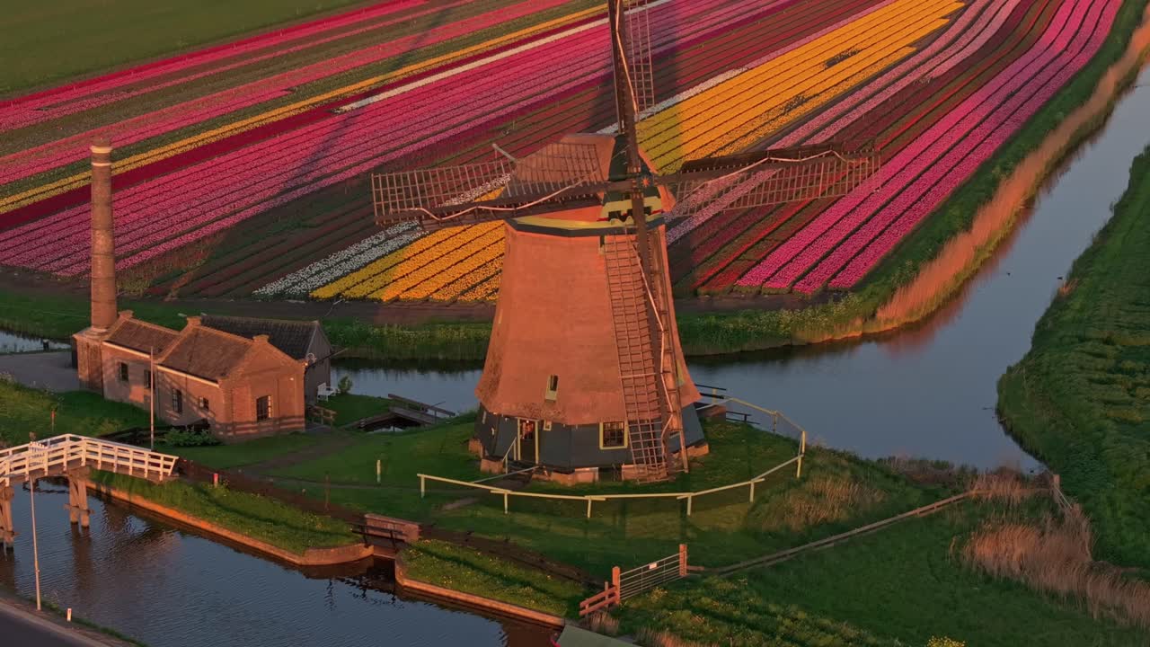Vista aerea dell'ora d'oro sopra campi di tulipani e un classico mulino a vento lungo il fiume
