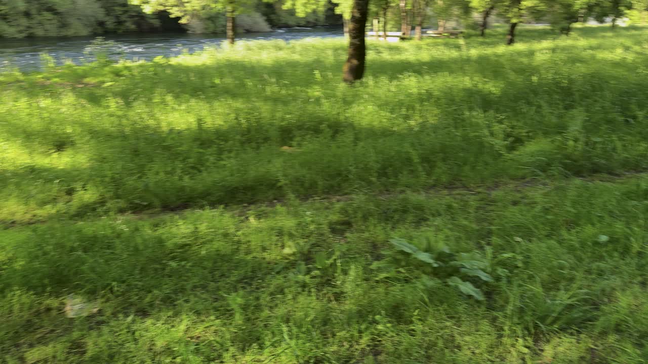 A littered barbecue area in the immediate vicinity of garbage bins shows how indifferent people are.