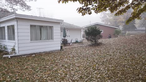 A-backyard-coated-in-a-layer-of-fallen-leaves