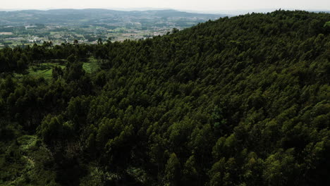 verdant hillsides and distant town aerial view
