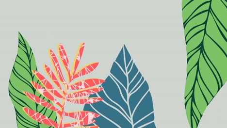 animation of green, blue and red leaves on grey background