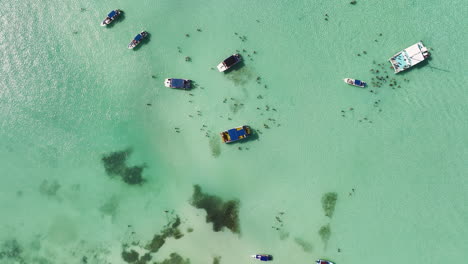 above view of coastal island with tourists and catamaran boats in saona island, dominican republic