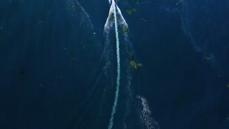 aerial view of a solo skiff in blue water