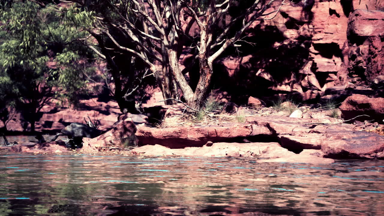 la escena de red rock creek en australia