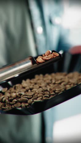 close-up of roasted coffee beans being scooped for fresh brew