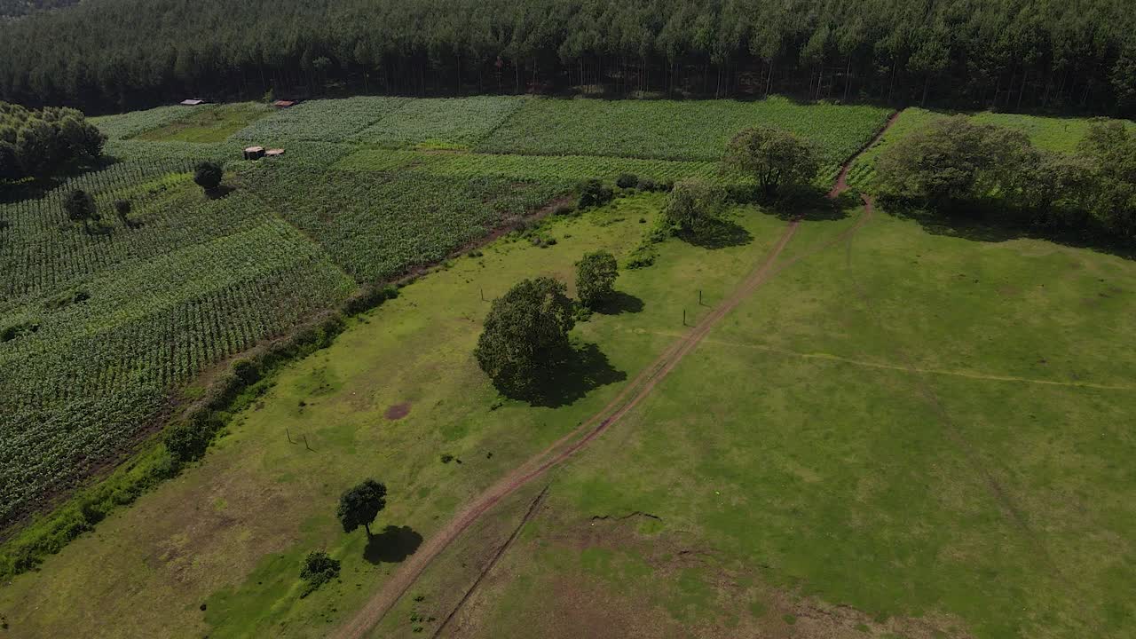 paisaje africano con exuberante vegetación en kenia - toma aérea de drones